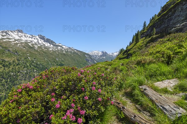 Hiking along the glacier trail in Innergschloess