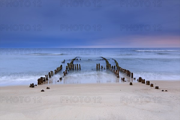 Remnant of old weathered wooden groyne