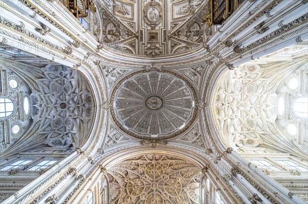 Dome of the Cathedral