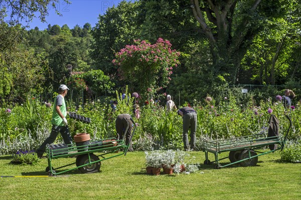 Gardeners