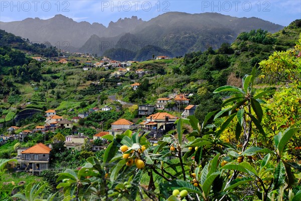 Ort Sao Roque do faial