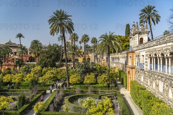 The Gardens of the Royal Palace Alcazar