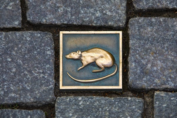 Rat Stone