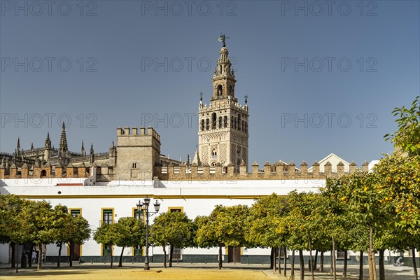 Patio de Banderas Square and the Cathedral of Santa Maria de la Sede in Seville