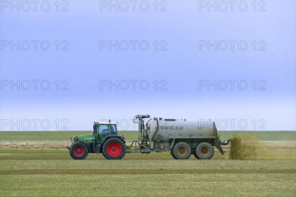 Farmer in Fendt 818 tractor with muck spreader distributing