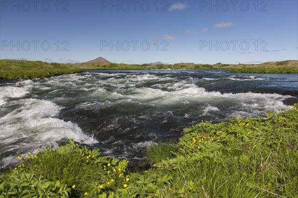 The effluent river Laxa in summer