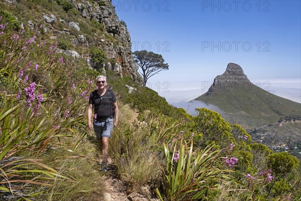 Western tourist hiking up Table Mountain with Signal Hill