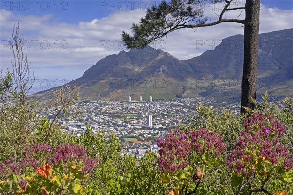 View over Devil's Peak