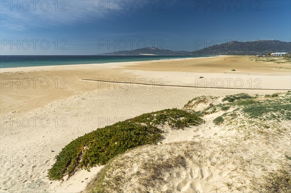 Playa de Los Lances beach in Tarifa