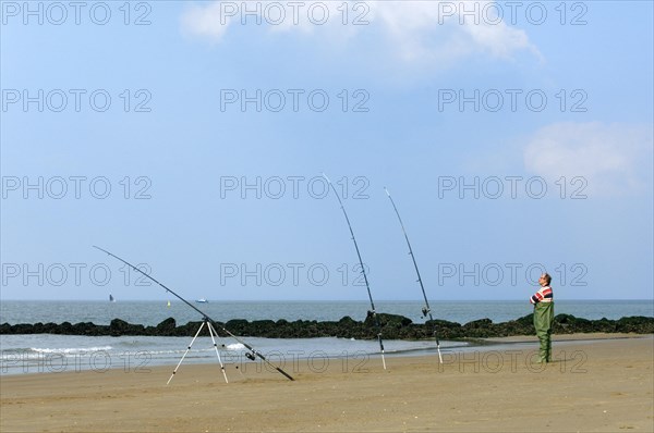 Sea angler in waders with many fishing rods fishing from beach near breakwater along the North Sea coast