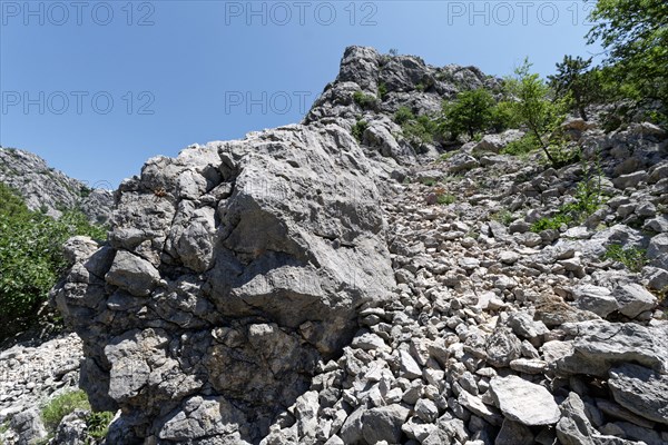 Steep rocks and boulders in the Velebit limestone mountains in Paklenica National Park in northern Dalmatia. Paklenica Starigrad
