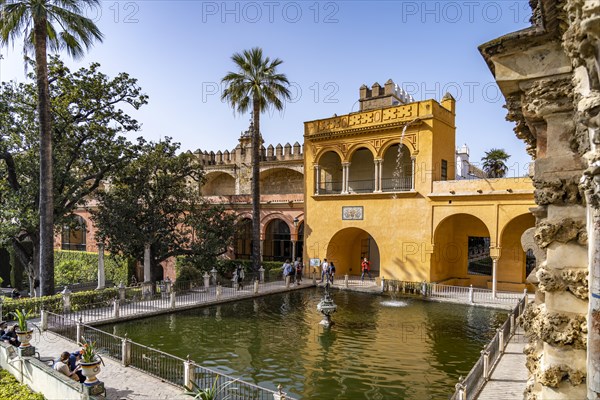 Mercury Pond or Estanque Del Mercurio