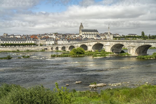 City view with the bridge over the Loire and the Roman Catholic Cathedral Saint-Louis