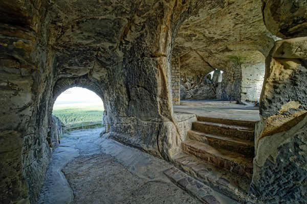 Ruin of Regenstein Castle