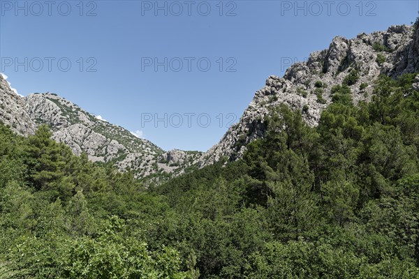 Rock chain in the Paklenica National Park in the Velebit limestone mountains in northern Dalmatia. Paklenica Starigrad