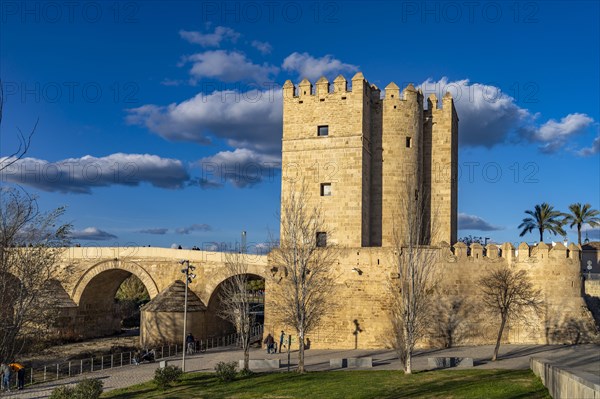 Watchtower Torre de la Calahorra in Cordoba