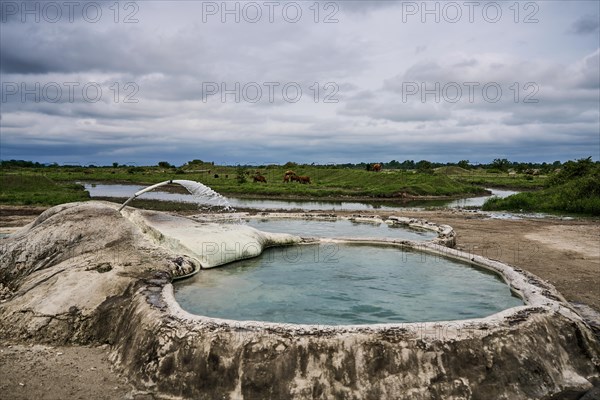 Amaghleba Springs