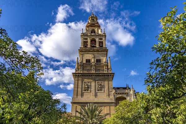 Bell Tower of the Mezquita