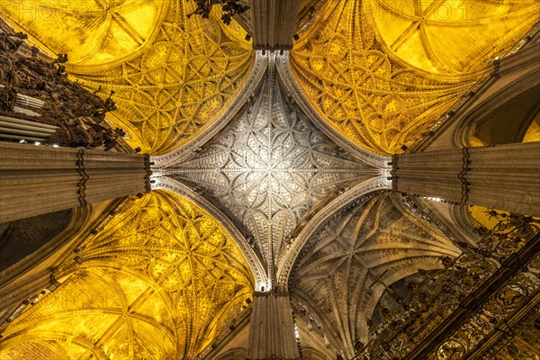 Ceiling in the interior of the Cathedral of Santa Maria de la Sede in Seville