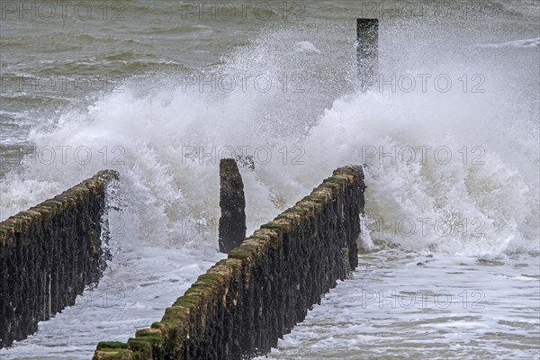 Wave crashing into wooden groyne