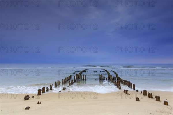 Remnant of old weathered wooden groyne