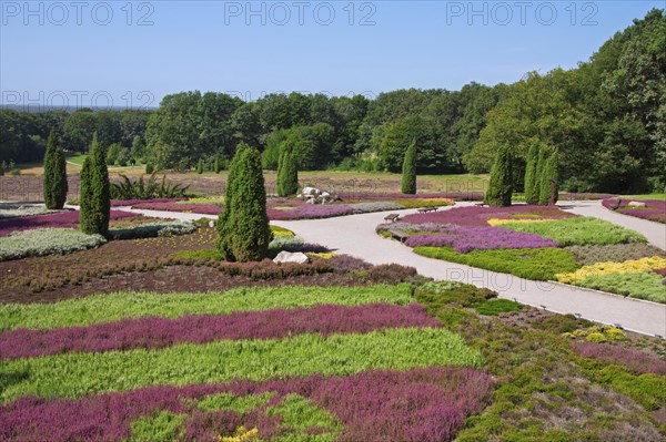 The heath garden