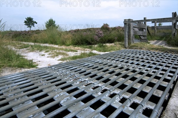 Steel cattle grid in sheep enclosure in heathland