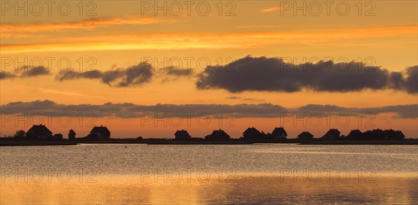 Beach houses along the Baltic Sea on the peninsula Graswarder silhouetted against sunset sky in summer