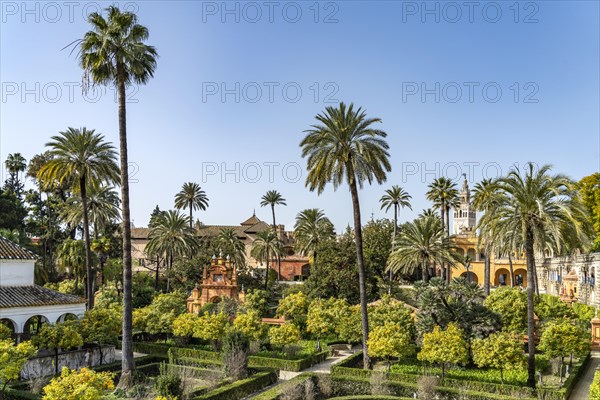 The Gardens of the Royal Palace Alcazar