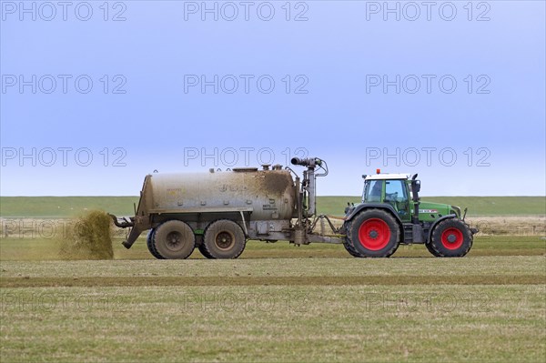 Farmer in Fendt 818 tractor with muck spreader distributing