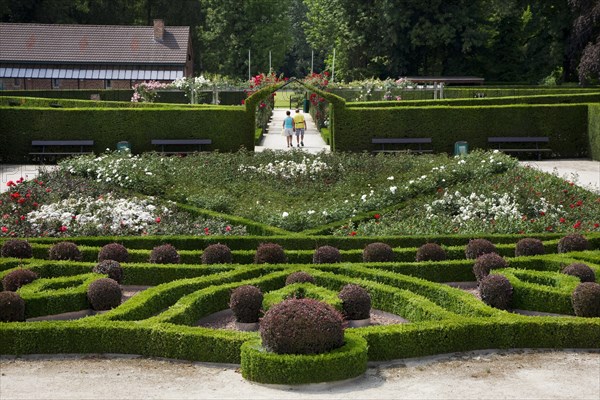 Trimmed hedges and colourful roses in the rose garden of Park Coloma at Sint-Pieters-Leeuw