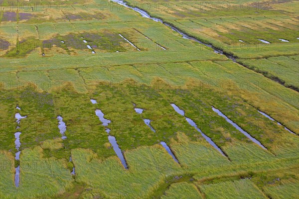 Aerial view over salt marsh