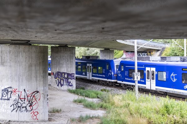 Regional train under a road bridge near Friedrichshafen
