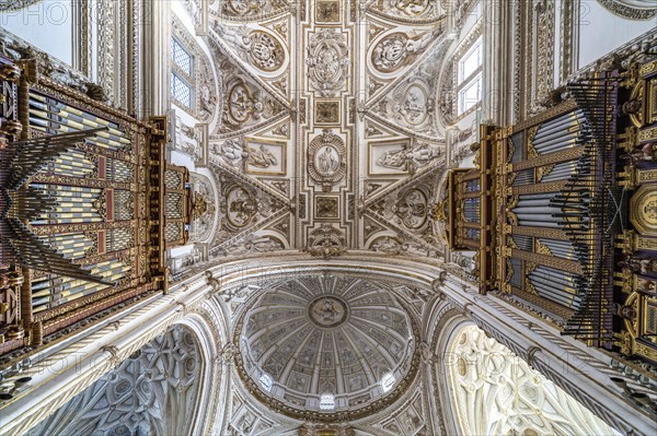 Organ and dome in the interior of the Cathedral