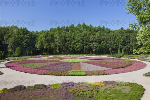 The heath garden