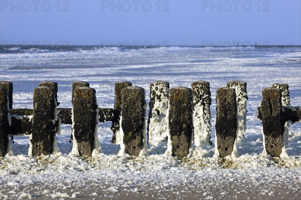 Wooden breakwater covered in sea foam