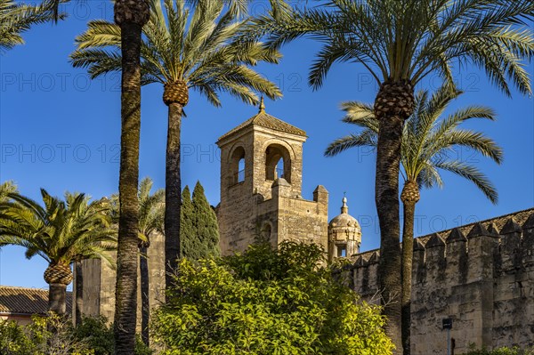 The Alcazar de los Reyes Cristianos in Cordoba