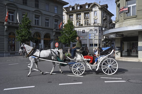 Road traffic horse-drawn carriage