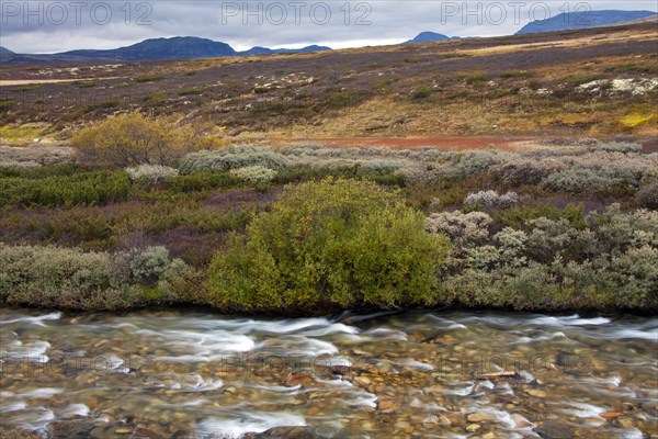 Store Ula River in the Rondane National Park