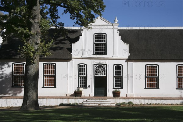 Typical white Cape Dutch style house of vineyard Bosch en Dal near Stellenbosch