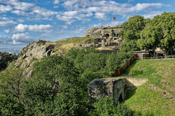 Ruin of Regenstein Castle