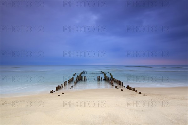 Remnant of old weathered wooden groyne