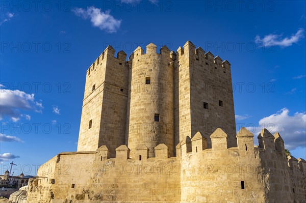 Watchtower Torre de la Calahorra in Cordoba