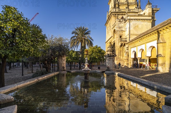 Orange Courtyard and Bell Tower of the Mezquita