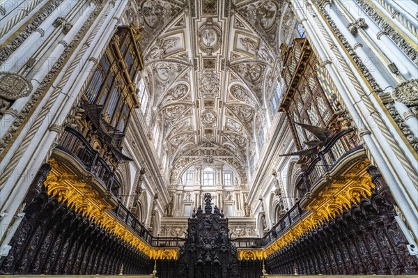 Organ and choir in the interior of the Cathedral