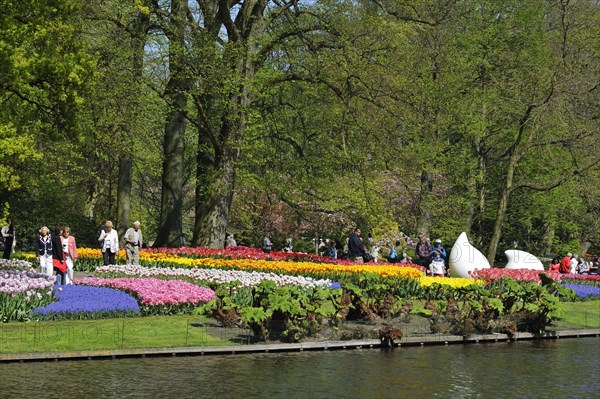 Tourists walking among colourful tulips