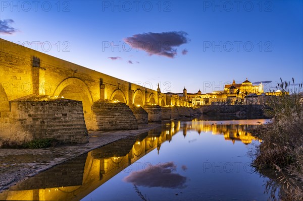 Roman bridge over the river Rio Guadalquivir and the Mezquita