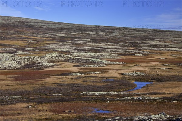 Tundra landscape in autumn at the Rondane National Park