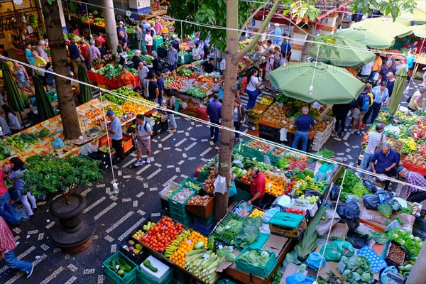 Bauernmarkt