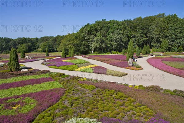 The heath garden